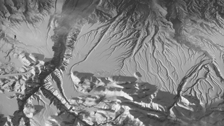 El efecto gorila, o por qué no podríamos identificar vida extraterrestre ni aunque estuviera delante